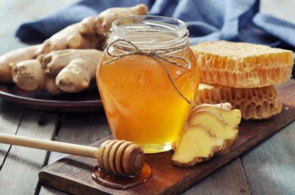 Имбирный мед полезные свойства