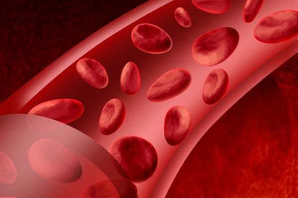 Как укрепить кровеносные сосуды организма