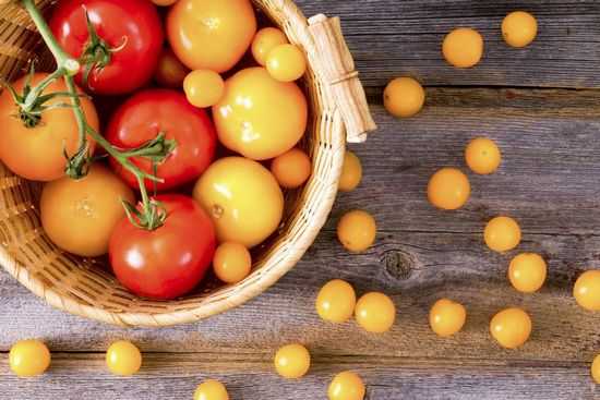 Польза и вред свежих помидоров для организма человека