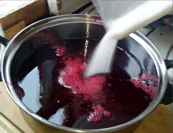 Рецепт сок из черноплодной рябины