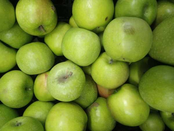 Яблоки зеленые польза